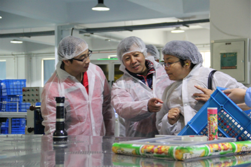 專家組就項目產品問題進行溝通